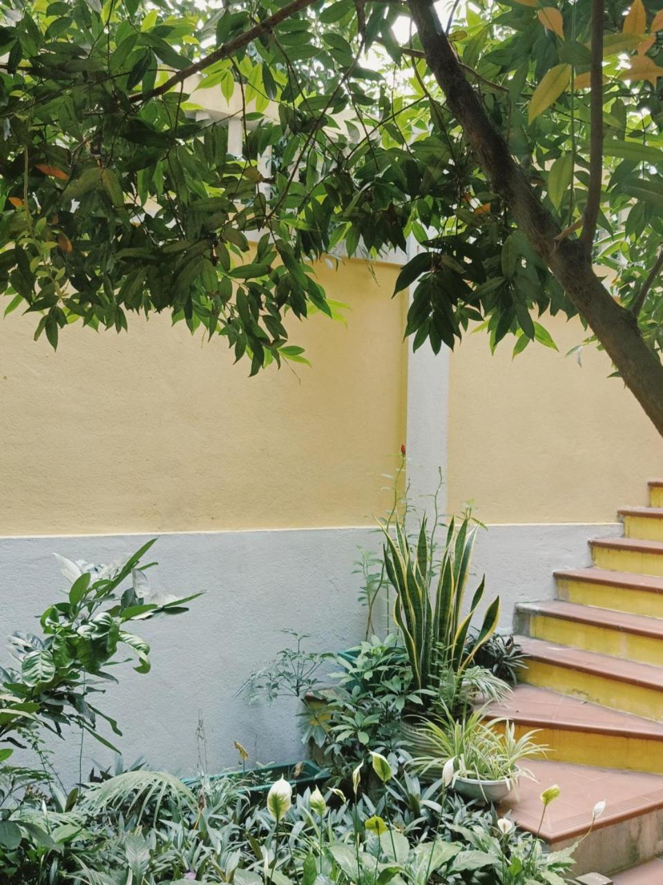 Riverside Plum Garden Homestay Hoi An Eksteriør billede