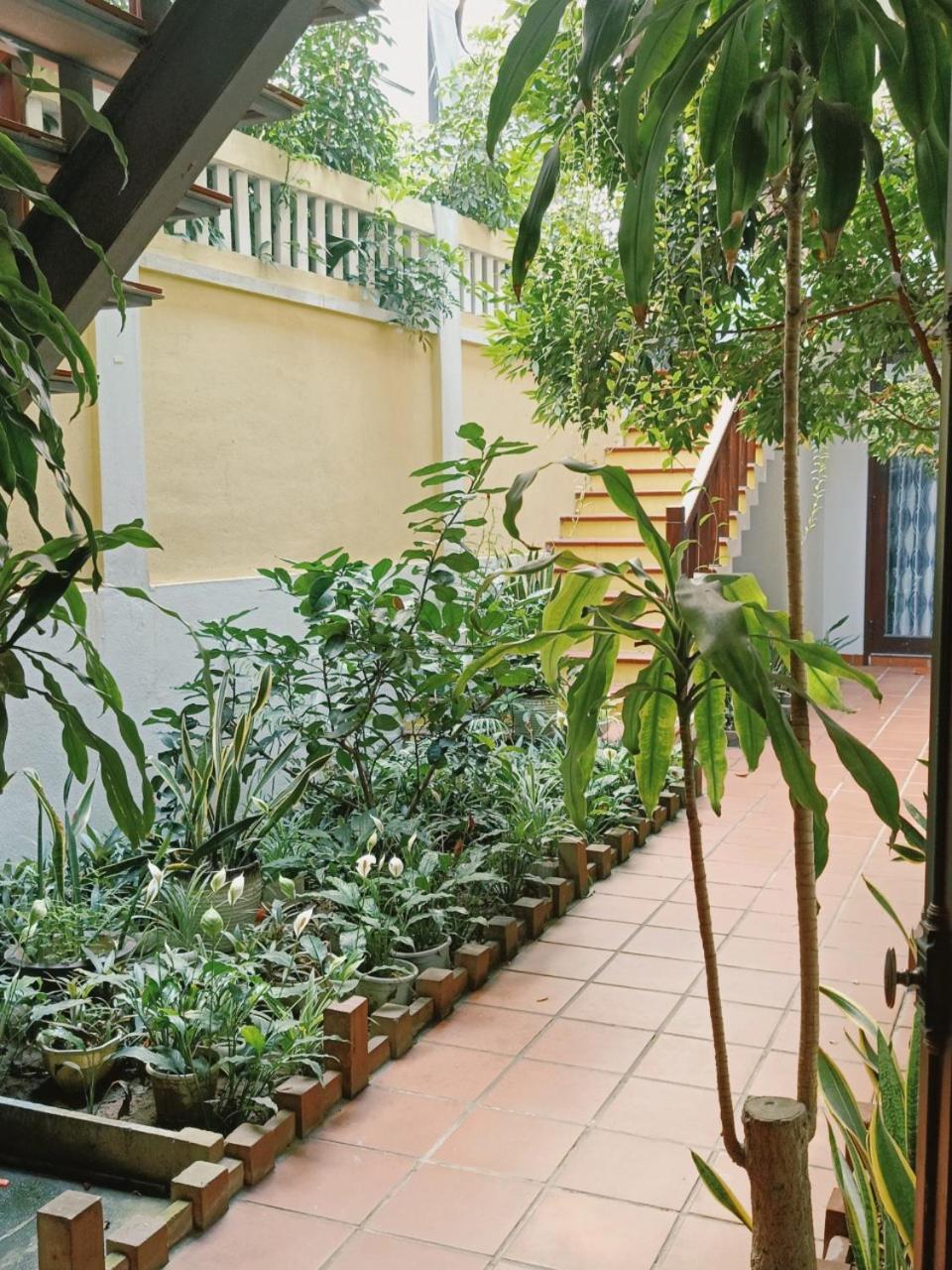 Riverside Plum Garden Homestay Hoi An Eksteriør billede